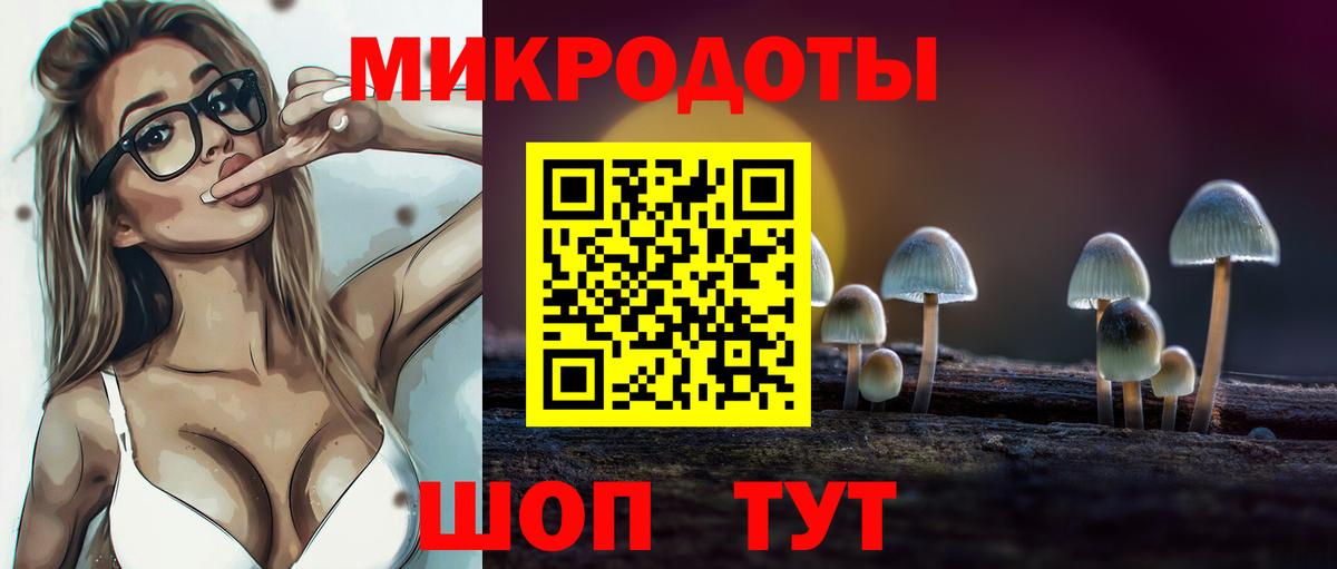 Галлюциногенные грибы Cubensis Красный Сулин
